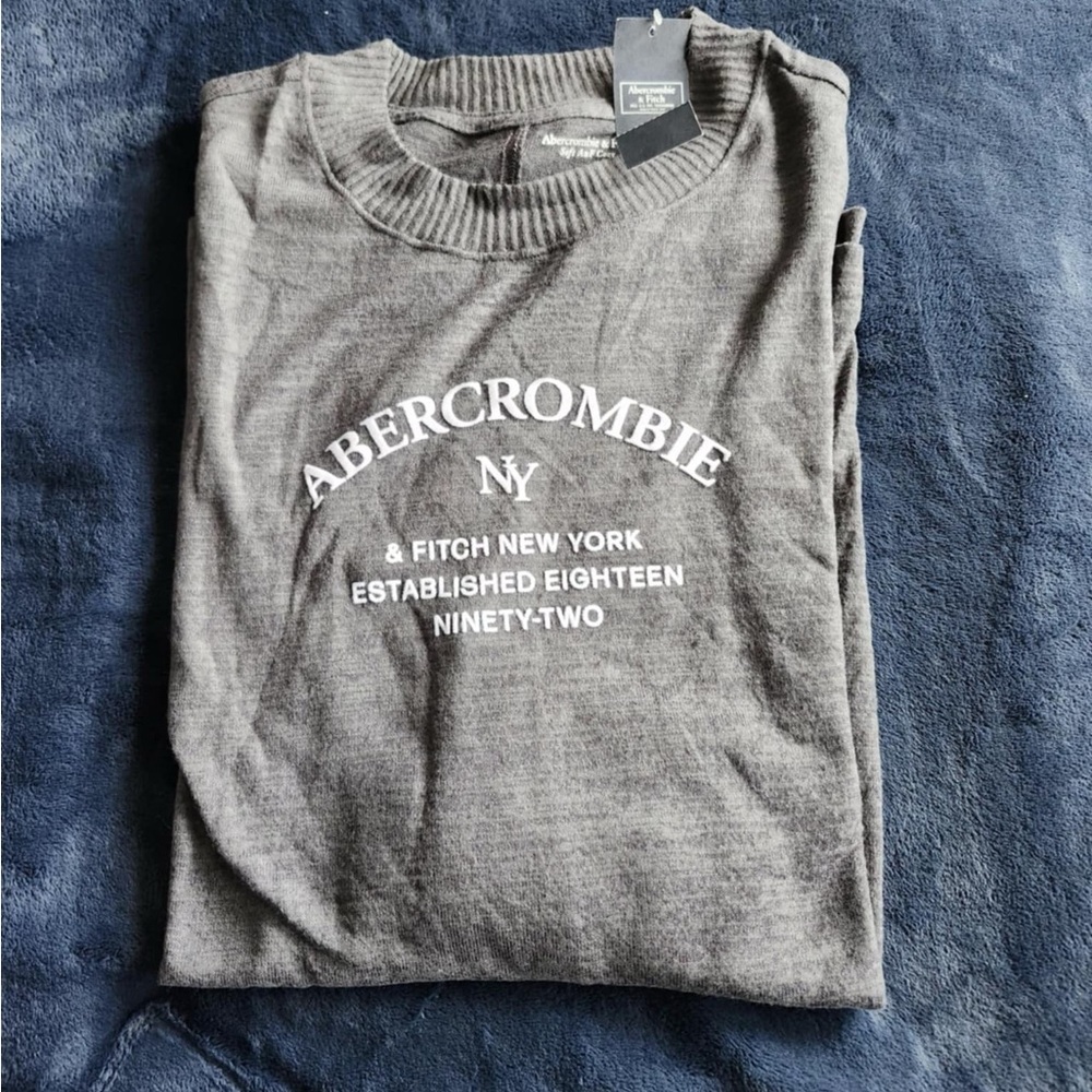 Abercrombie and Fitch Boyfriend Tee size Large NWT - Picture 2 of 5